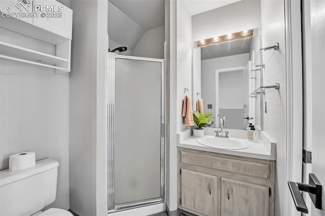 bathroom with vanity, toilet, and a shower with shower door