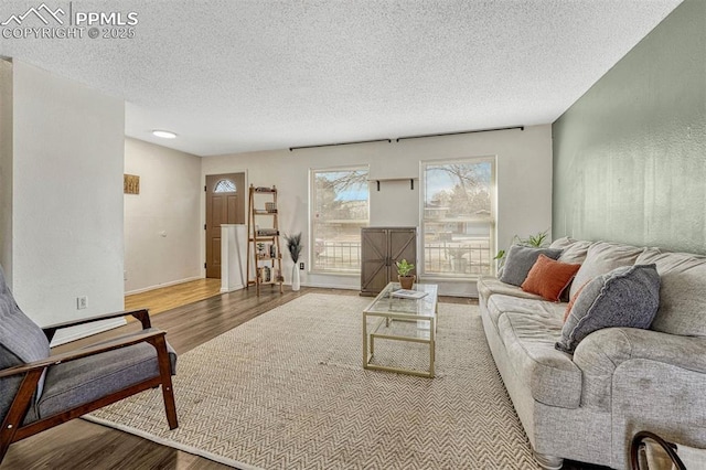 living room with wood-type flooring and a textured ceiling