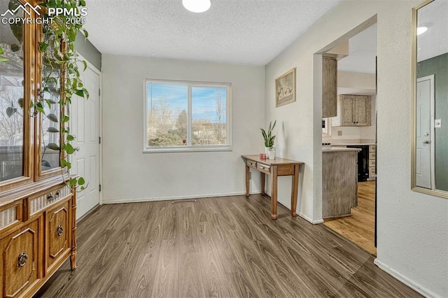 interior space featuring dark wood-type flooring and a textured ceiling