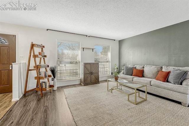 living room with hardwood / wood-style floors and a textured ceiling