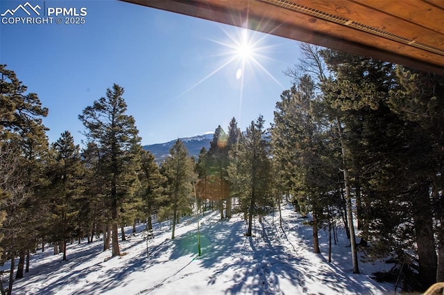 property view of mountains