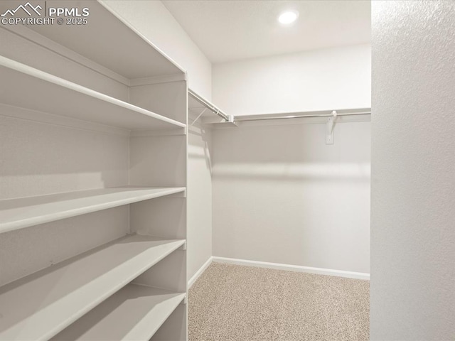 spacious closet featuring carpet flooring