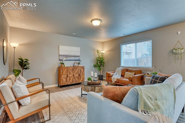 living room with wood-type flooring and a textured ceiling