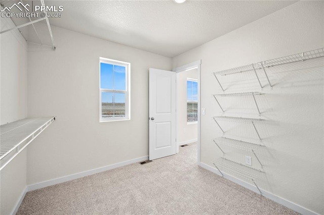 walk in closet with light carpet