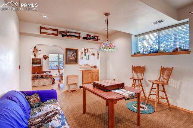 sitting room featuring a wealth of natural light and carpet