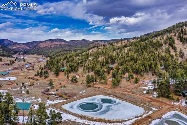 drone / aerial view with a mountain view