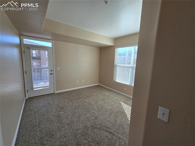 spare room with carpet flooring