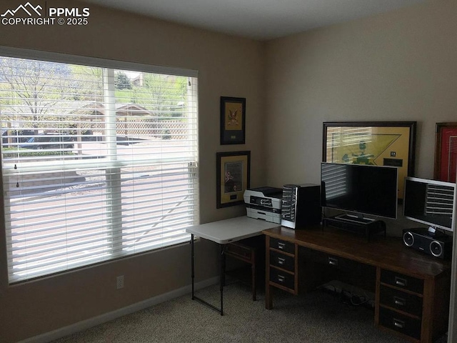 carpeted office space with a wealth of natural light