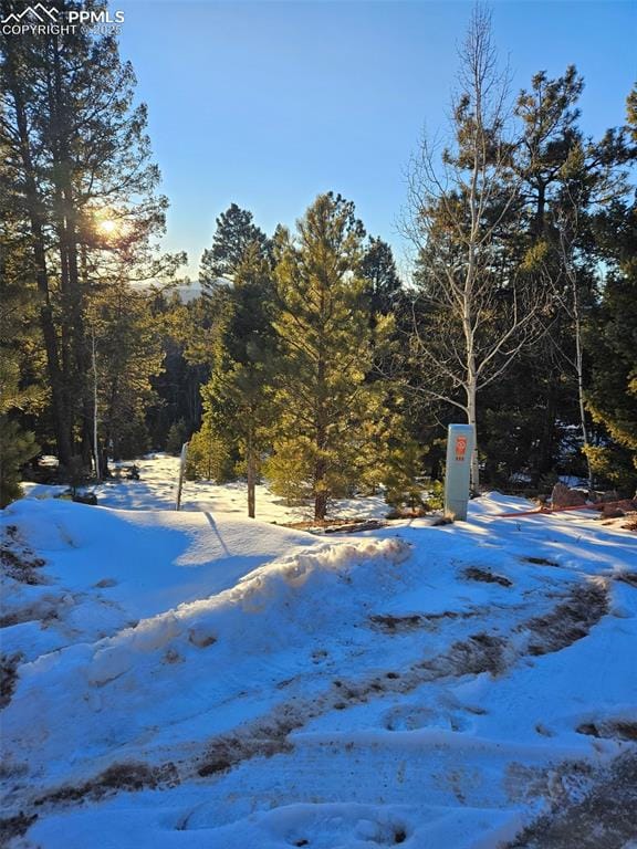 133 Sildona Trl, Florissant CO, 80816 land for sale