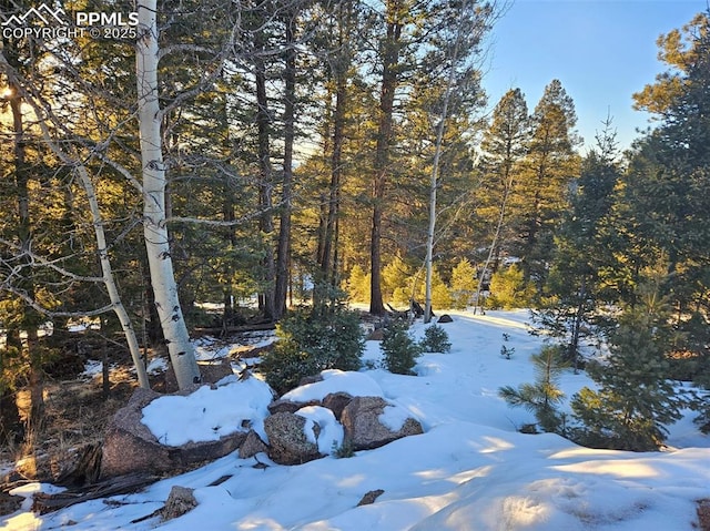 Listing photo 3 for 133 Sildona Trl, Florissant CO 80816