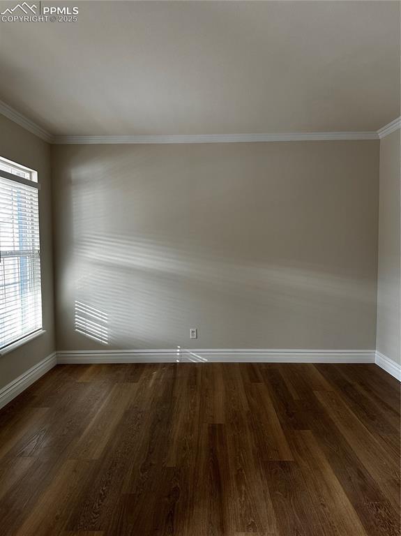 unfurnished room with crown molding and dark hardwood / wood-style floors