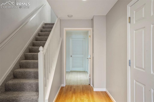 staircase with hardwood / wood-style floors