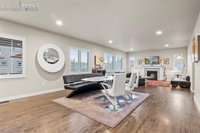 living room featuring hardwood / wood-style flooring