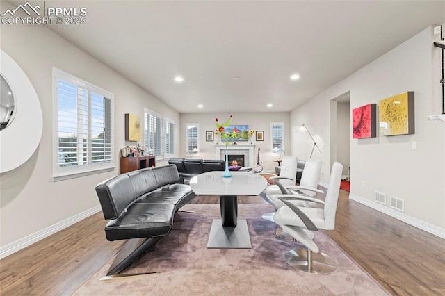 living room featuring hardwood / wood-style flooring