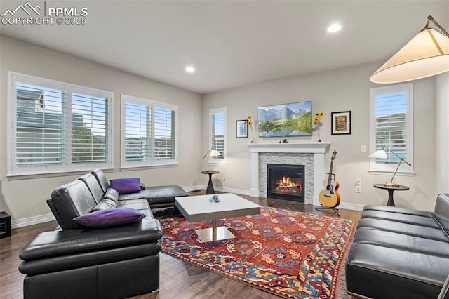 living room featuring a healthy amount of sunlight, wood-type flooring, and a stone fireplace