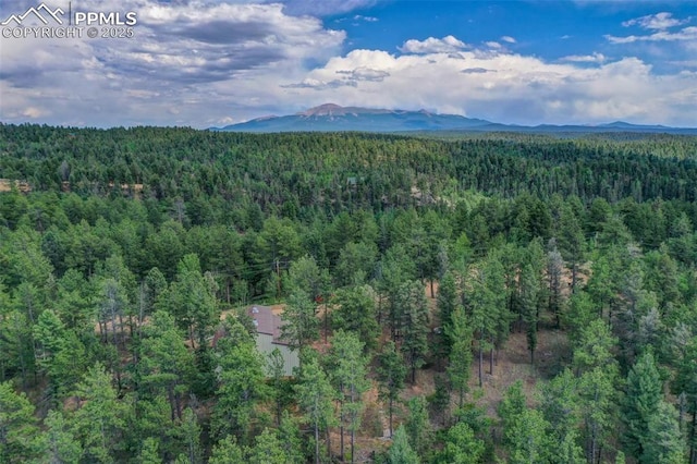 449 Woody Creek Rd, Florissant CO, 80816 land for sale