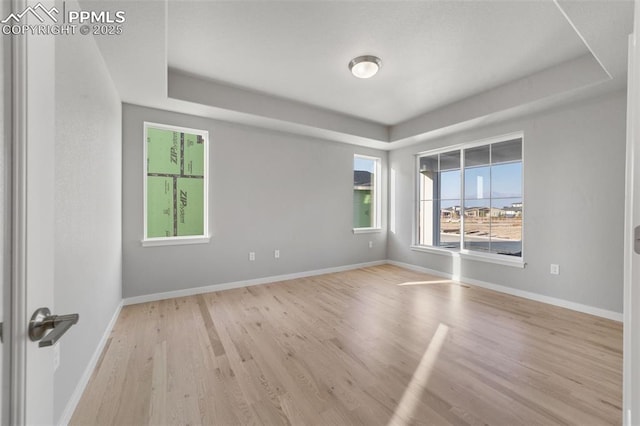 spare room with light wood-type flooring and a tray ceiling