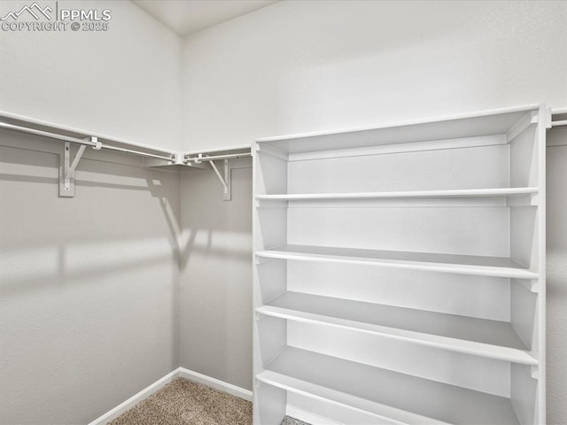 10434 Devoncove Dr, Peyton, CO 80831 - walk in closet with carpet flooring