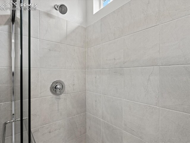 10434 Devoncove Dr, Peyton, CO 80831 - details with a shower stall