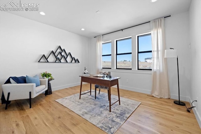 office space featuring light hardwood / wood-style floors