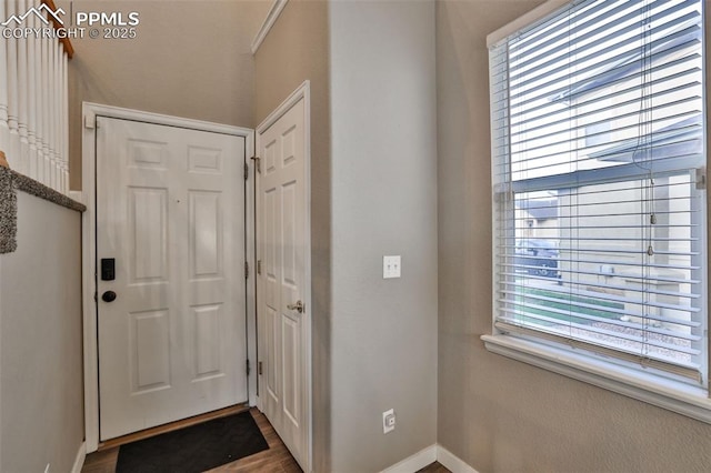 foyer with plenty of natural light