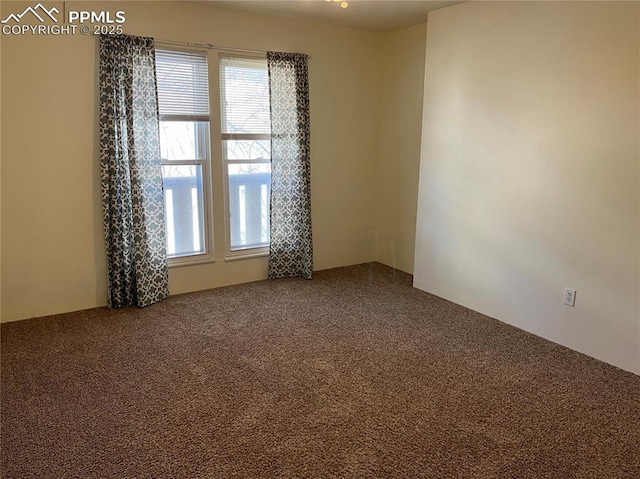 spare room with carpet floors