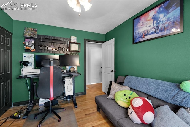 office featuring light hardwood / wood-style floors