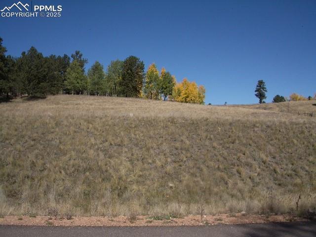 307 Pinaceae Hts, Divide CO, 80814 land for sale