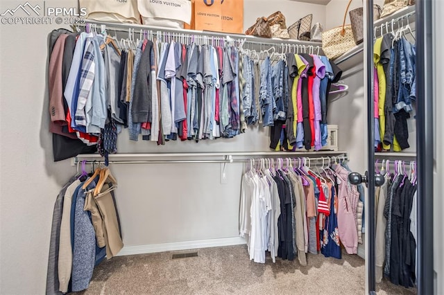 spacious closet with carpet