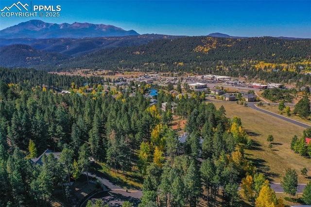 birds eye view of property with a mountain view