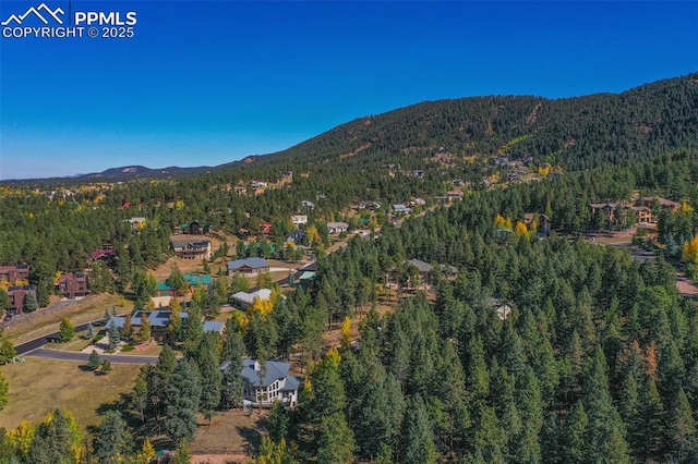 drone / aerial view with a mountain view