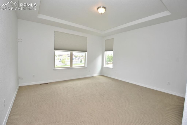 spare room with light colored carpet and a tray ceiling