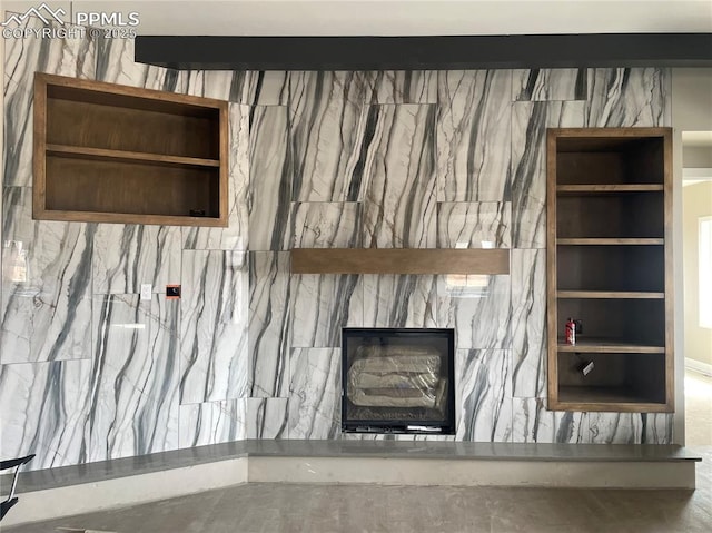 details with a fireplace and built in shelves