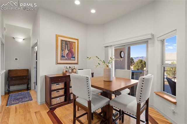 dining room with light hardwood / wood-style floors