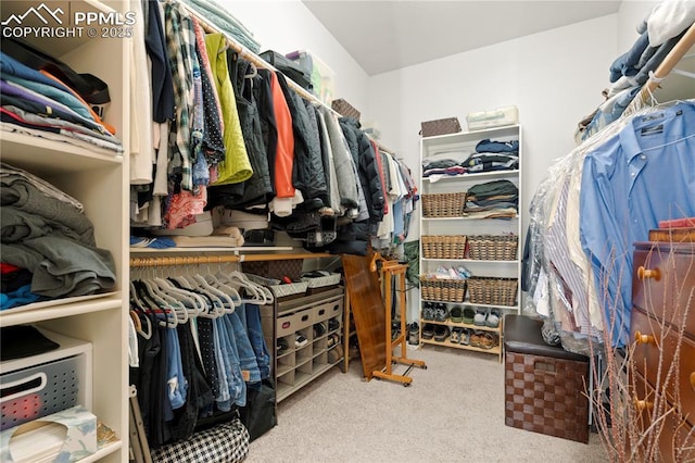 walk in closet with carpet flooring