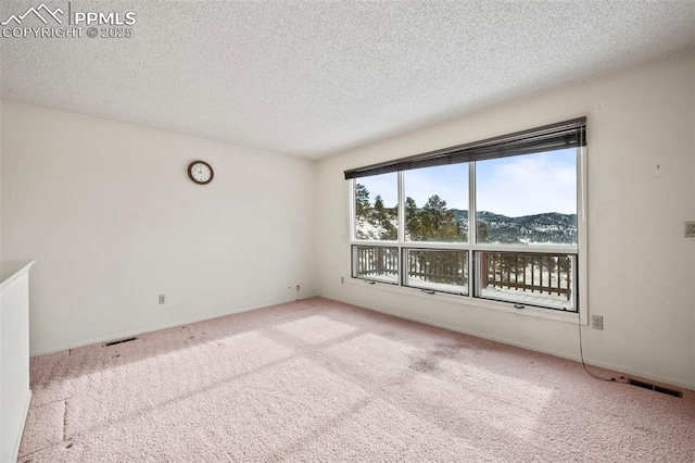 carpeted empty room with a mountain view and a textured ceiling