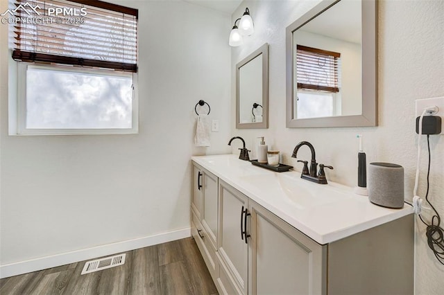 bathroom featuring hardwood / wood-style floors and vanity