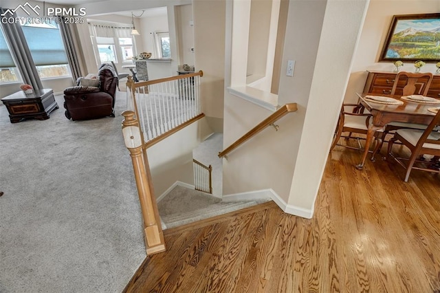 staircase featuring hardwood / wood-style floors