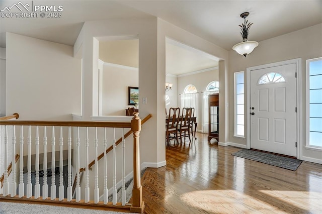 entryway featuring a healthy amount of sunlight and hardwood / wood-style flooring