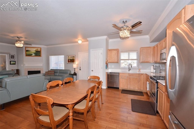 dining space featuring a healthy amount of sunlight, ceiling fan, light hardwood / wood-style floors, and a fireplace