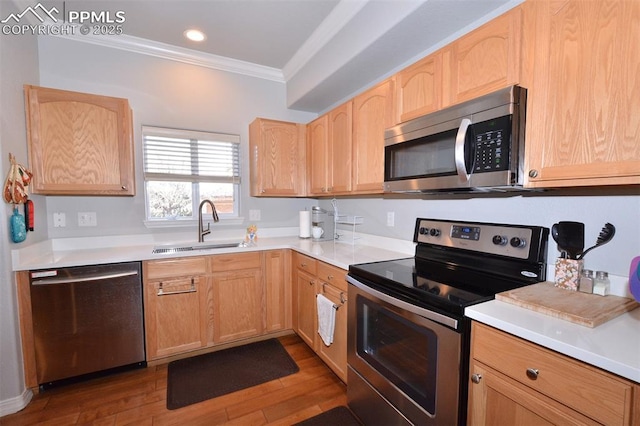 kitchen featuring stainless steel appliances, sink, light brown cabinetry, and crown molding