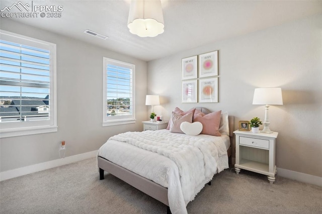 bedroom with carpet floors