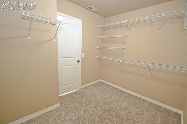 walk in closet with carpet floors