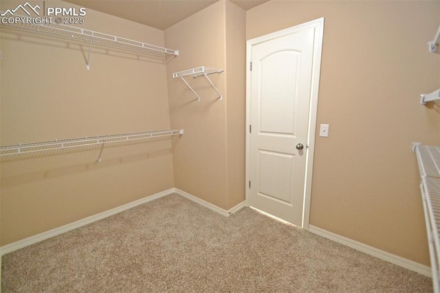 spacious closet featuring carpet floors