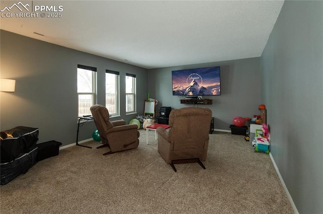 living room with carpet floors