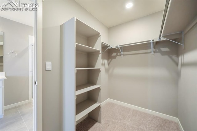 view of spacious closet