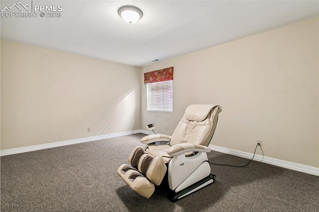 living area featuring carpet floors and a textured ceiling