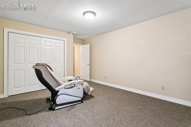 office featuring a textured ceiling and carpet flooring