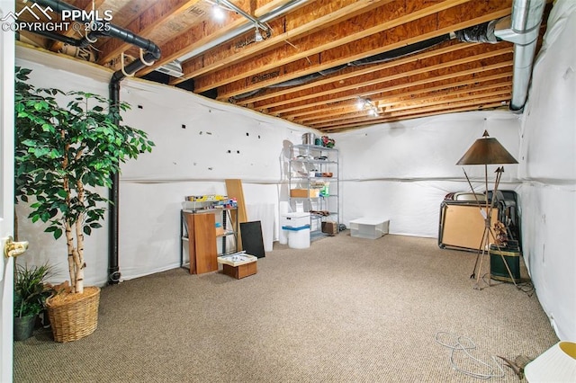 basement with carpet flooring