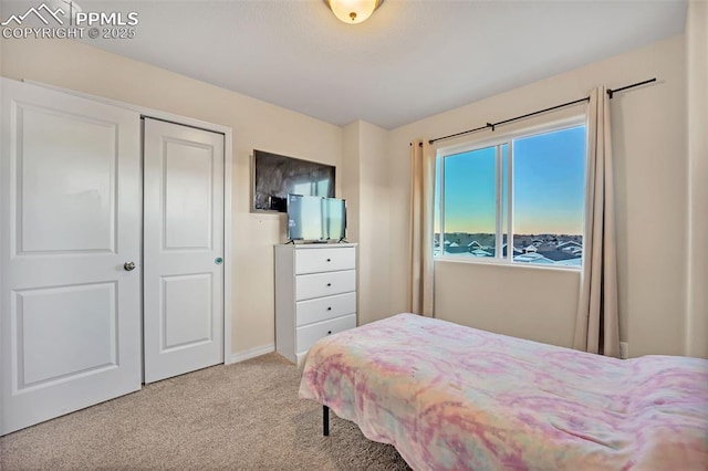 carpeted bedroom with a closet